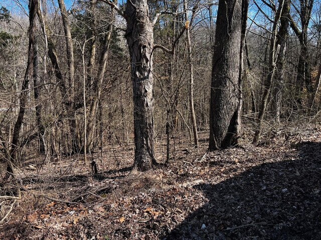 0 Lakeshore Dr, Dover, TN 37058 - photo 4