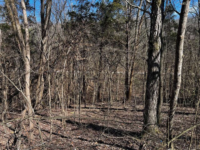 0 Lakeshore Dr, Dover, TN 37058 - photo 6