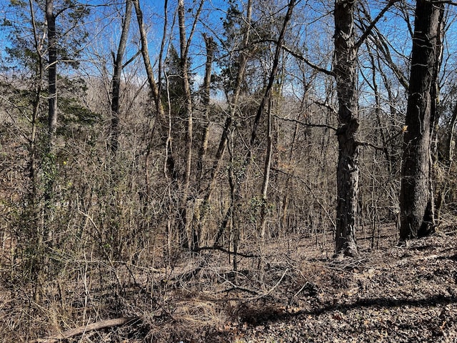 0 Lakeshore Dr, Dover, TN 37058 - photo 5