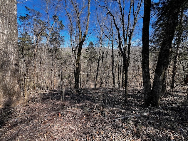 0 Lakeshore Dr, Dover, TN 37058 - photo 1