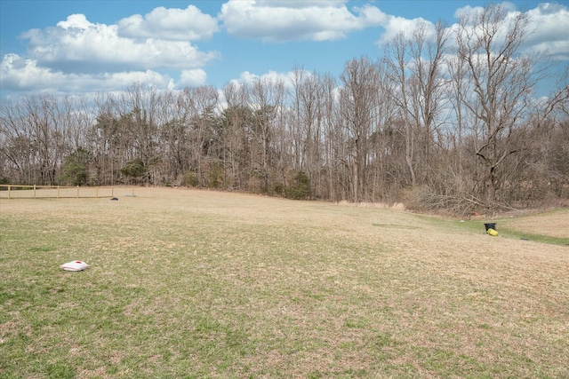 11216 Clay County Hwy, Moss, TN 38575 - view of yard featuring a forest view