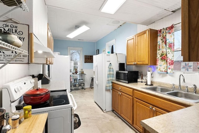 kitchen with plenty of natural light, white appliances, light countertops, and a sink