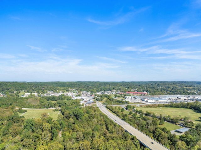36 Wilson Ct, Ashland City, TN 37015 - aerial view