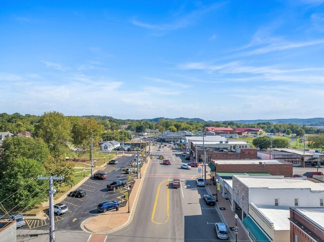 36 Wilson Ct, Ashland City, TN 37015 - bird's eye view