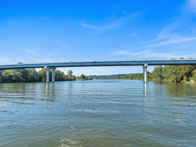 36 Wilson Ct, Ashland City, TN 37015 - property view of water