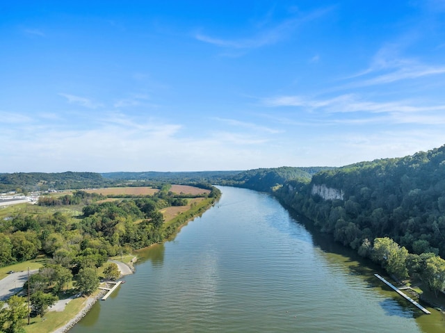 bird's eye view featuring a view of trees and a water view