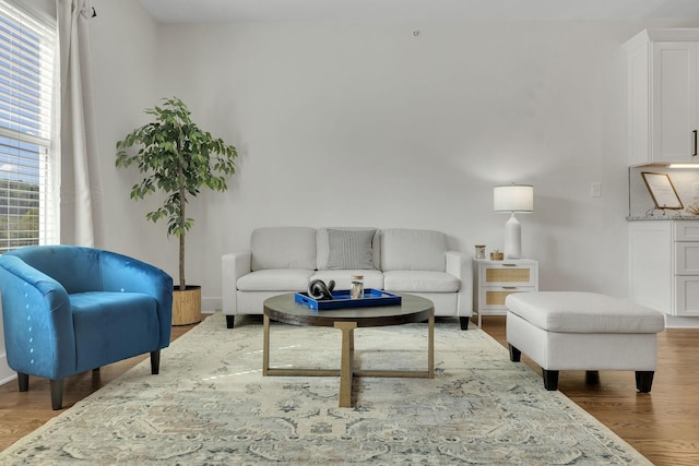 living area featuring wood finished floors