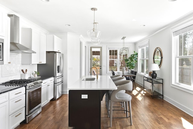 kitchen with dark wood-type flooring, a sink, tasteful backsplash, appliances with stainless steel finishes, and wall chimney exhaust hood