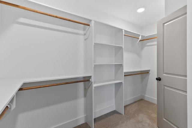 walk in closet featuring carpet