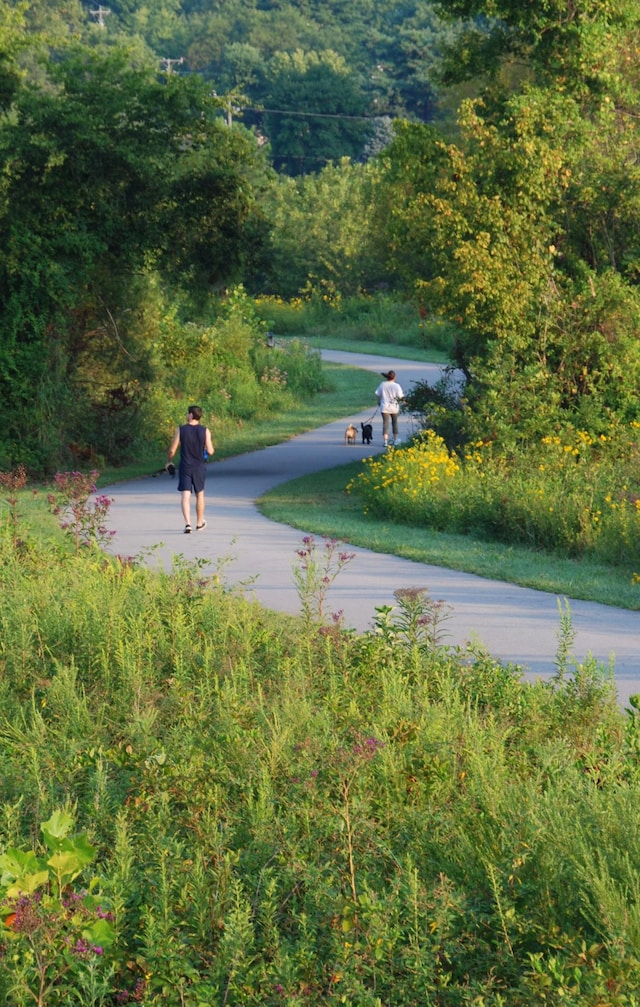 view of community