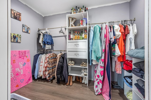 spacious closet with wood finished floors