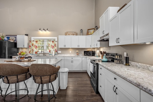 kitchen with a high ceiling, stainless steel electric stove, freestanding refrigerator, a sink, and under cabinet range hood