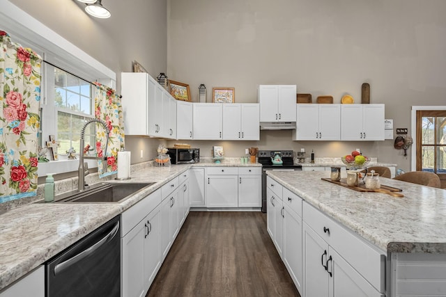 kitchen featuring appliances with stainless steel finishes, a high ceiling, dark wood-style floors, white cabinets, and a sink