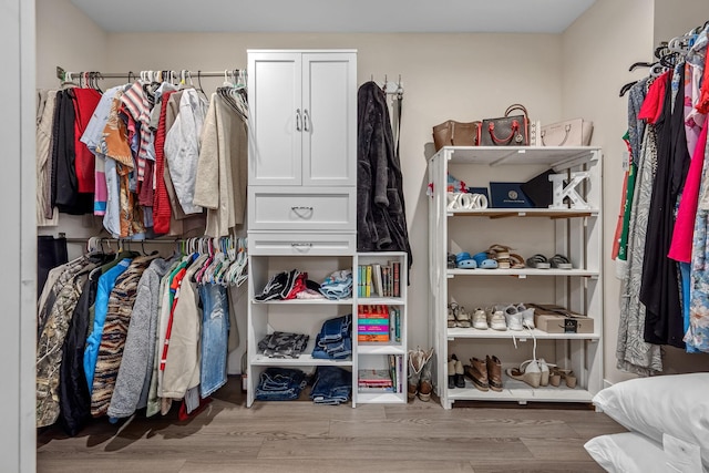 spacious closet with wood finished floors