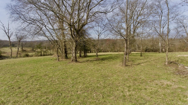 0 Webb Rd, Bell Buckle, TN 37020