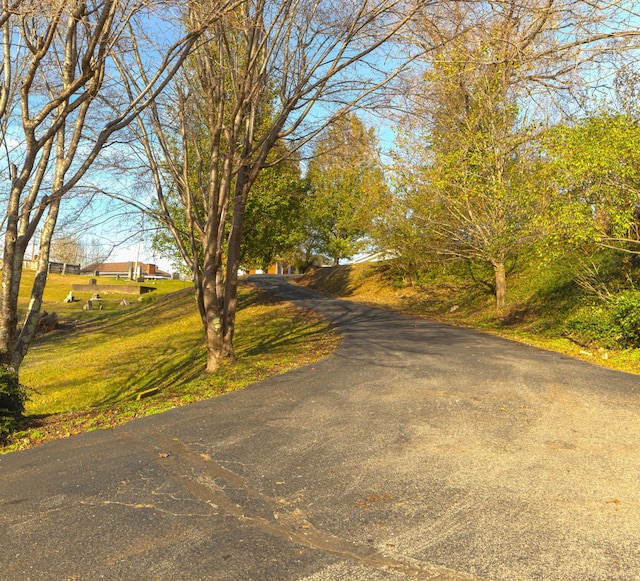 view of road