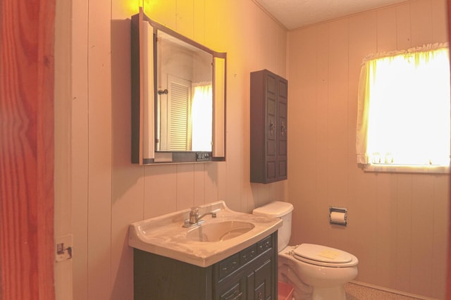 bathroom with toilet and vanity