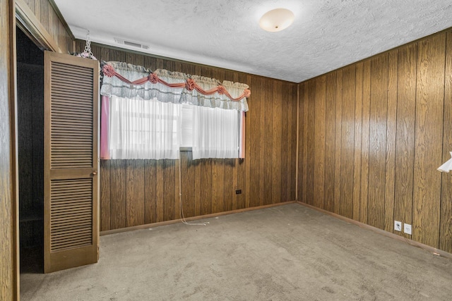 253 Main St, Ducktown, TN 37326 - spare room with wooden walls, a textured ceiling, carpet, and baseboards