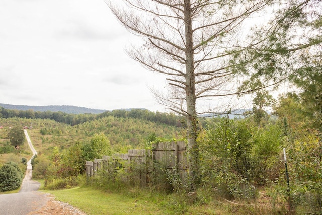 view of street featuring a wooded view