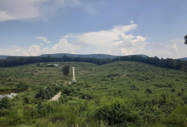 view of mountain feature featuring a forest view