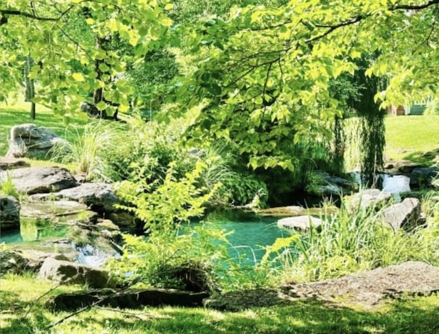 view of nature with a water view