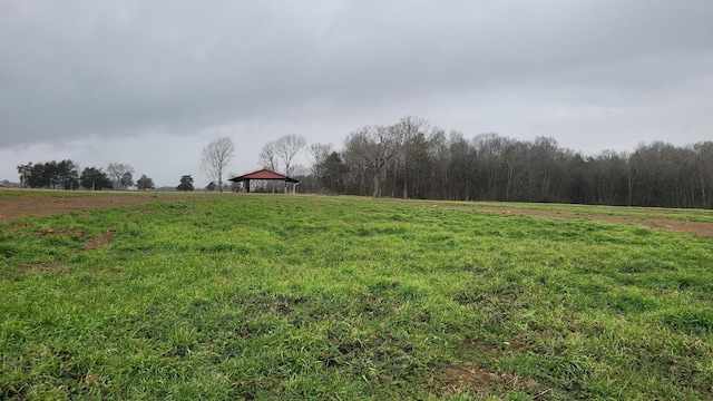 Listing photo 3 for 7 Old Nashville Dirt Rd, Shelbyville TN 37160