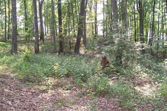 0 Bluff Line Dr, Mcminnville TN, 37110 land for sale