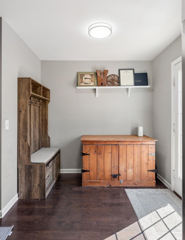 mudroom with baseboards and dark wood-type flooring