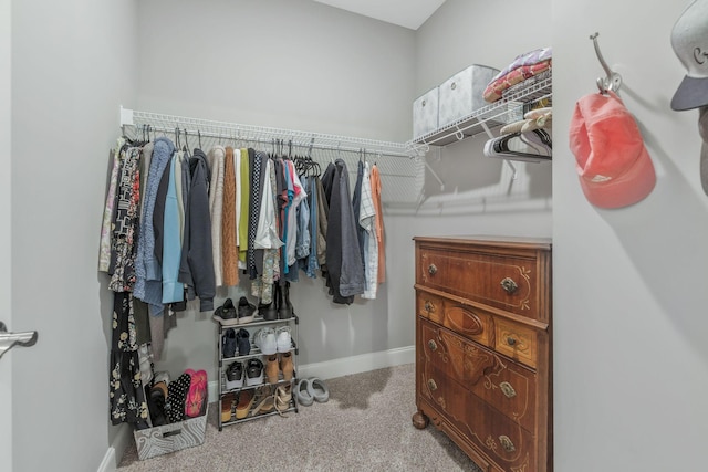 spacious closet featuring carpet flooring