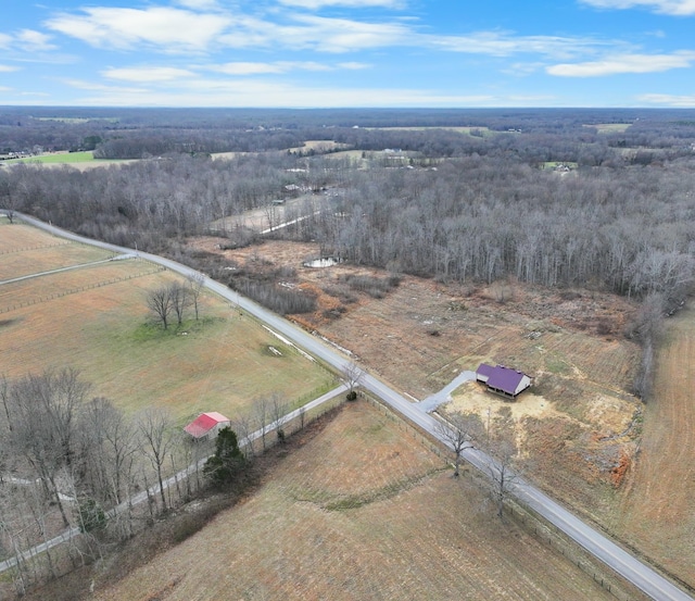 drone / aerial view featuring a rural view