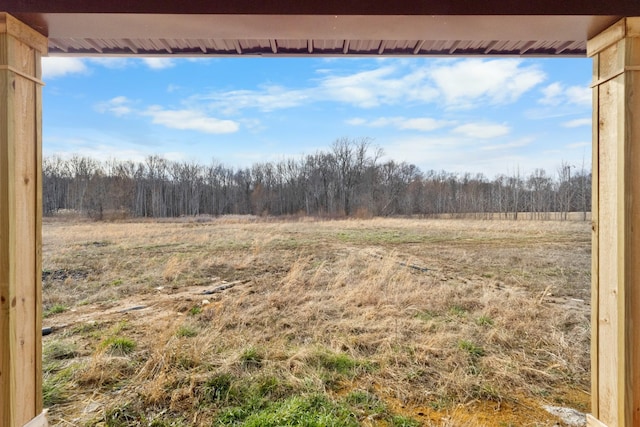 view of yard featuring a view of trees