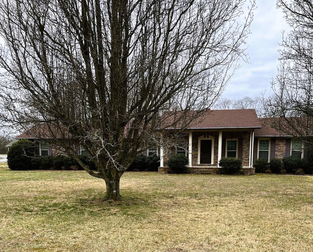 view of front of property featuring a front yard and roof with shingles