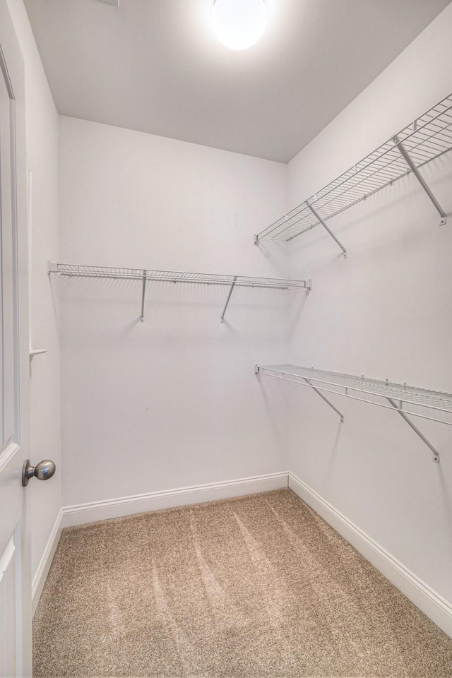 walk in closet featuring light colored carpet