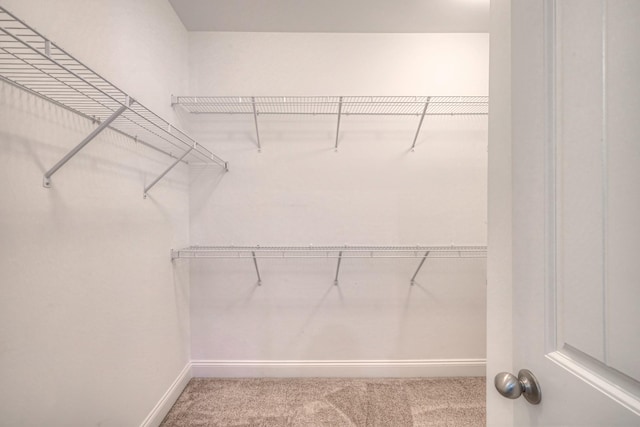 walk in closet with carpet