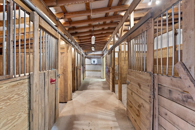 view of horse barn