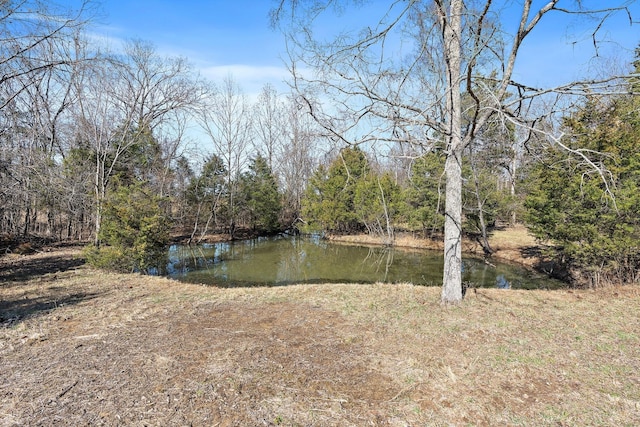 view of water feature with a wooded view
