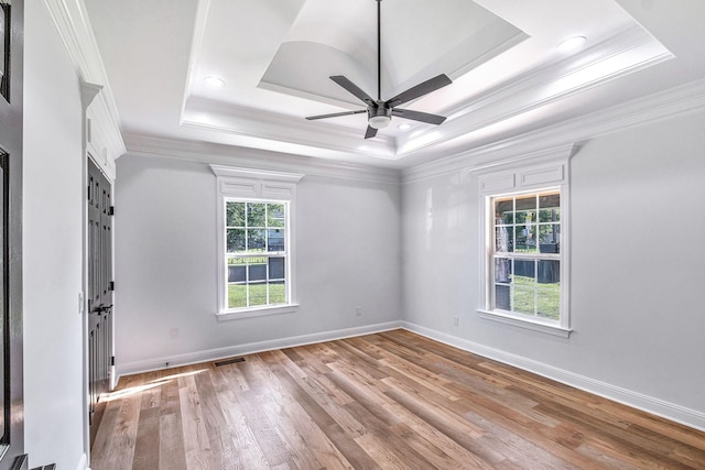 spare room with a raised ceiling and a healthy amount of sunlight