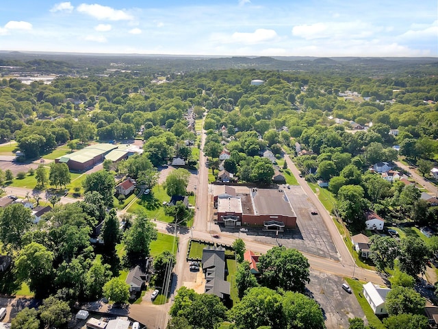 drone / aerial view