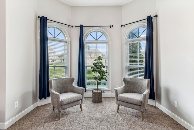 living area featuring baseboards and carpet floors