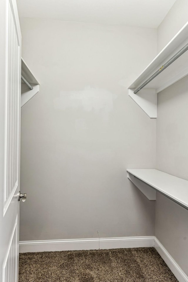 walk in closet with carpet floors