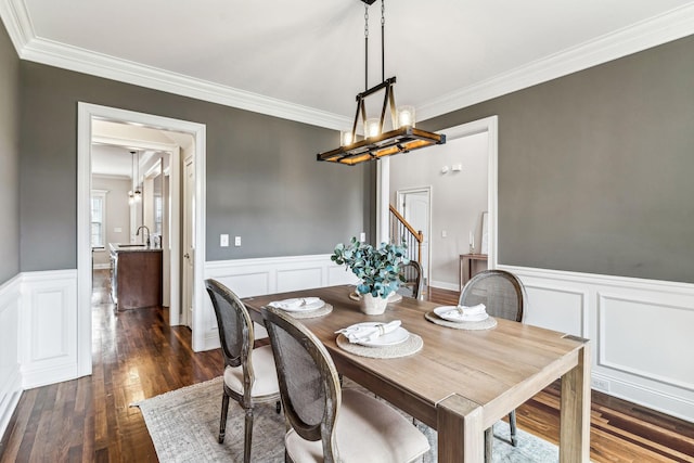 dining area featuring stairs, crown molding, dark wood-style floors, and wainscoting