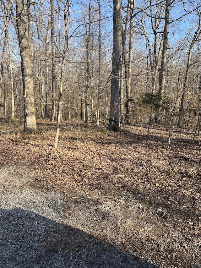 0 Bucksnort Dr, Ashland City TN, 37015 land for sale