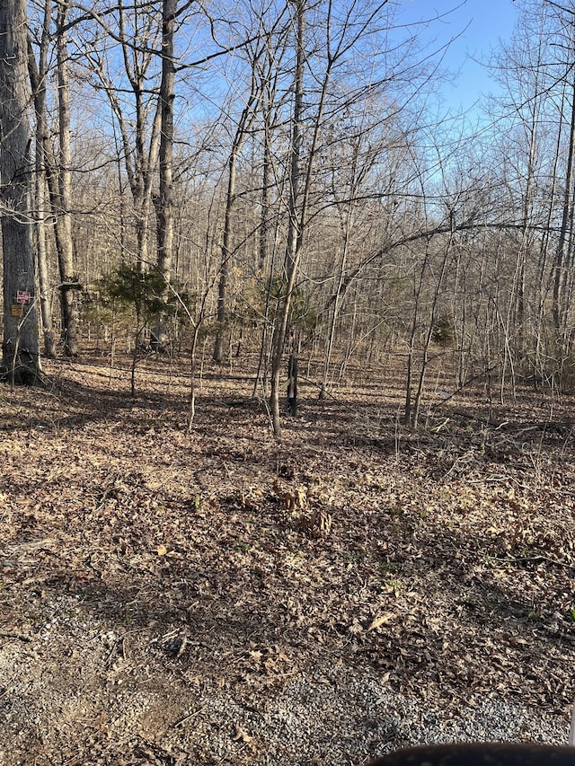 0 Bucksnort Dr, Ashland City TN, 37015 land for sale