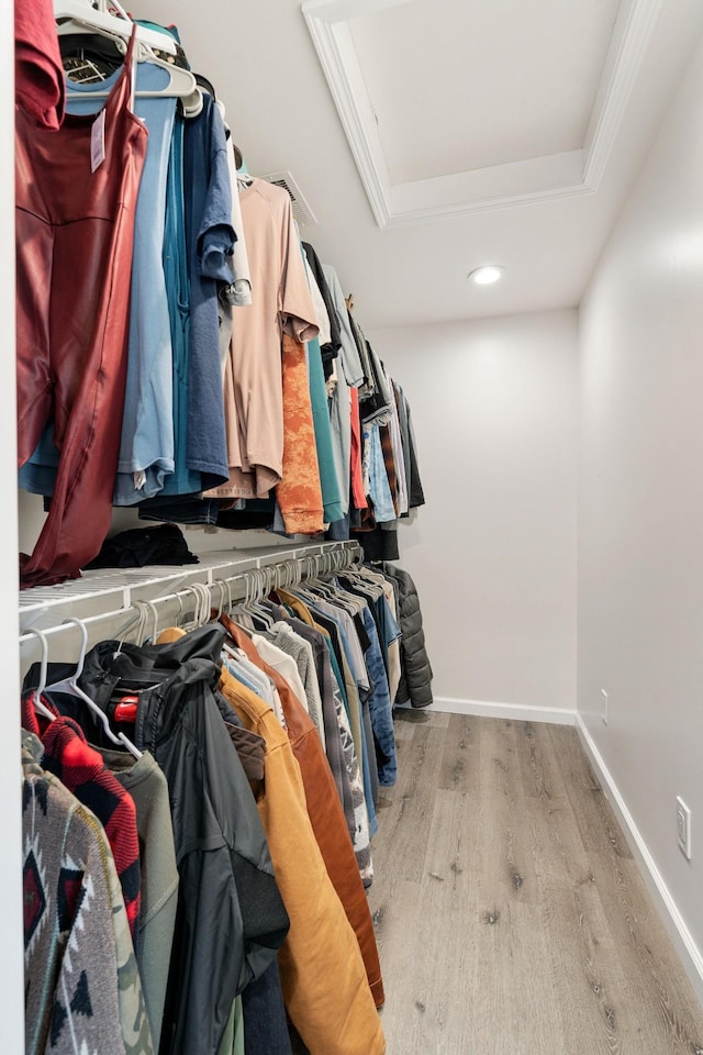 753 Theta Pike, Columbia, TN 38401 - walk in closet with a raised ceiling and wood finished floors