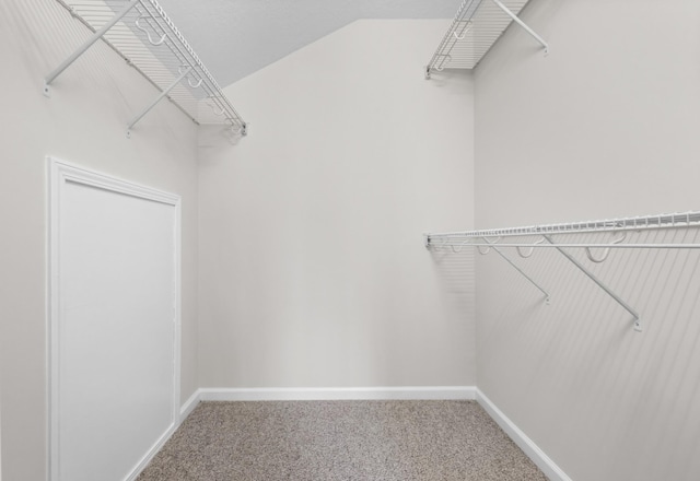 walk in closet featuring carpet flooring and lofted ceiling