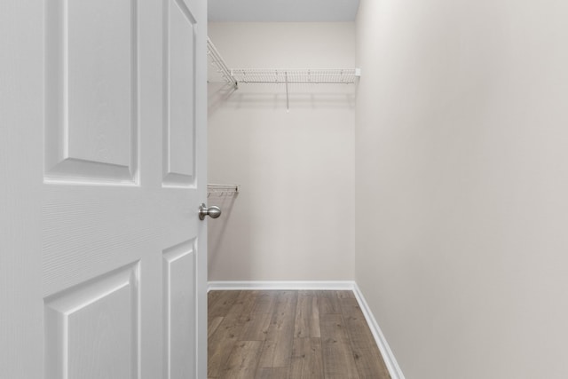 spacious closet featuring wood finished floors