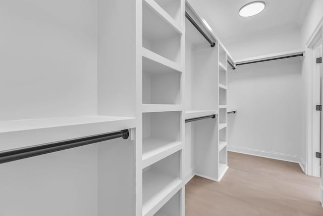 spacious closet featuring wood finished floors