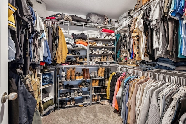 spacious closet with carpet