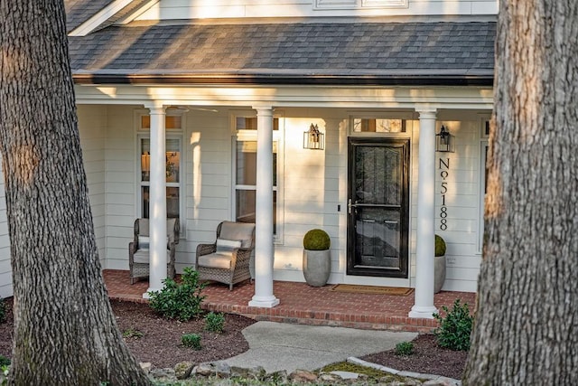 view of exterior entry with a porch and a shingled roof