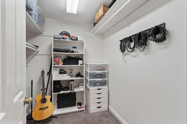 spacious closet featuring carpet floors